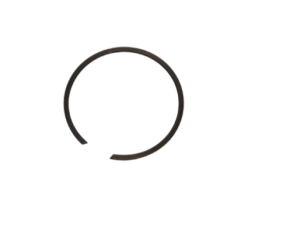 snap-ring