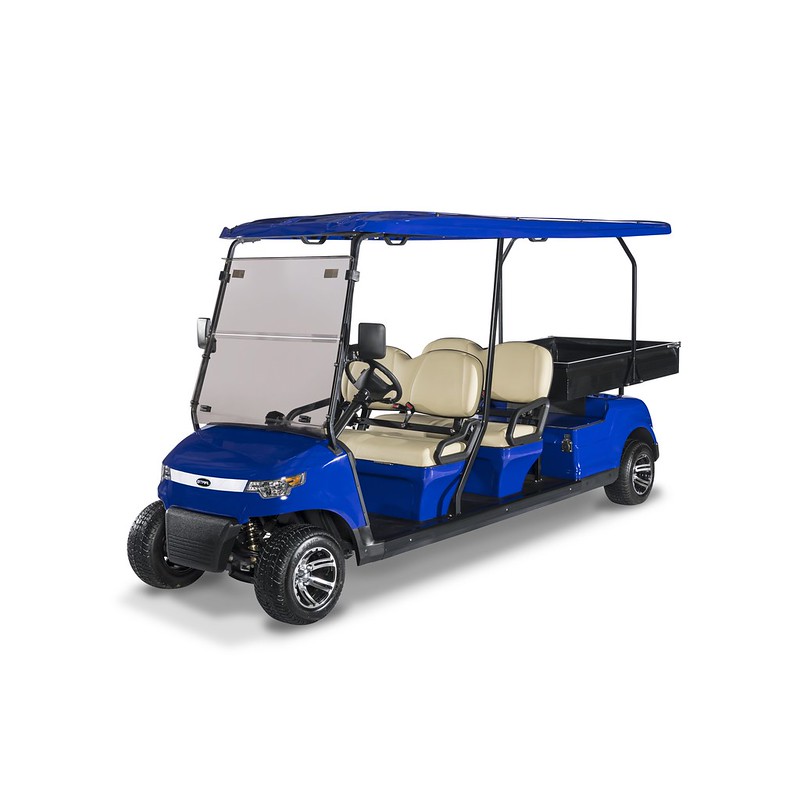 star-capella-4-hcx-electric-buggy