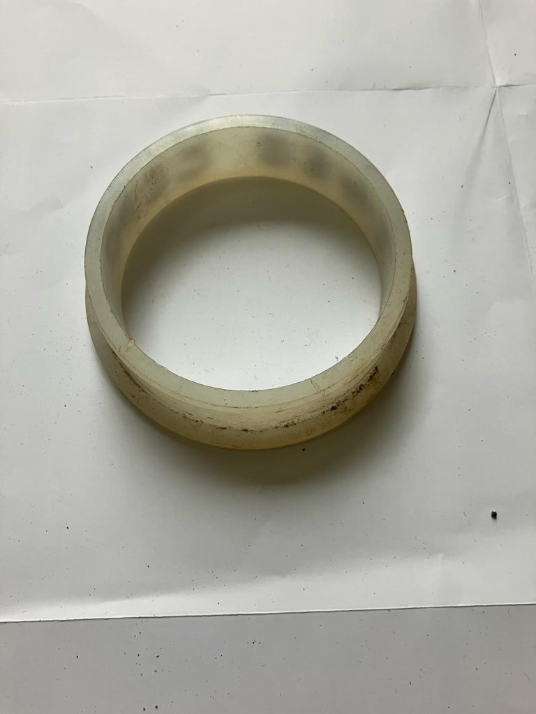 bush-0622-8342